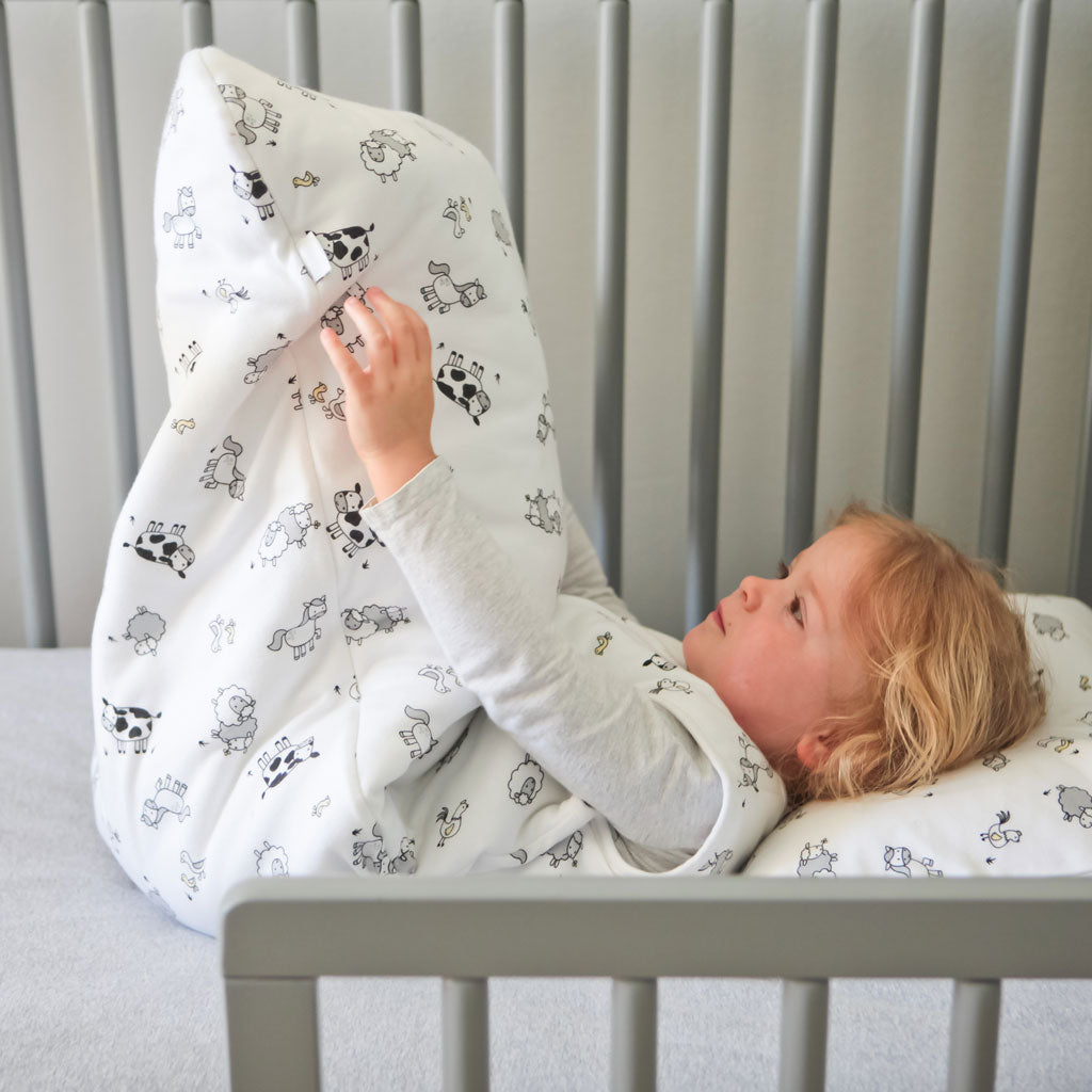Organic Cotton Startle Stop Sleep Bag 0.5 TOG - The Tortoise & The Har –  Nest Designs